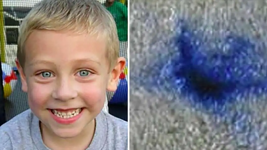 A 6-year-old boy died, leaving a blue stain on the carpet: her mother’s horrifying discovery 12 years later.