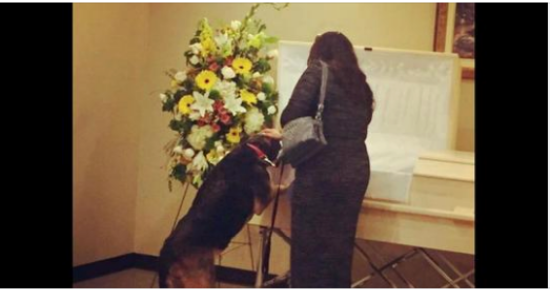 Beautiful Moment for Depressed Dog Who Actually Found Closure Saying a Final Goodbye at the Funeral