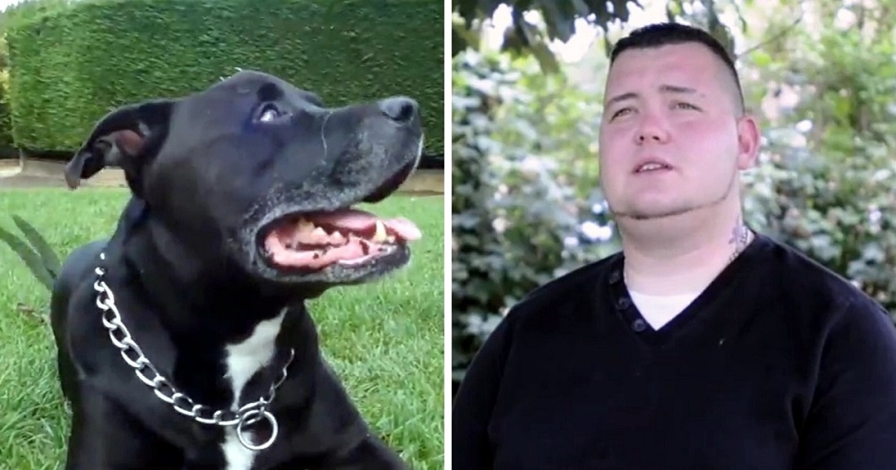 Man decides to take his own life – then he realizes what’s in his dog’s mouth