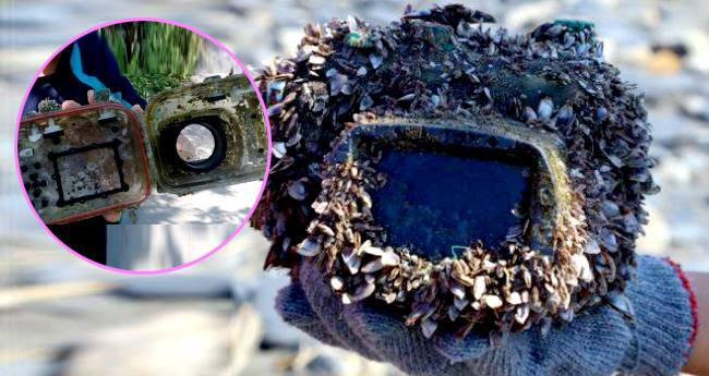 The 11 years old gets a wonderful surprise while cleaning the beach with friends—you won’t believe what it is!