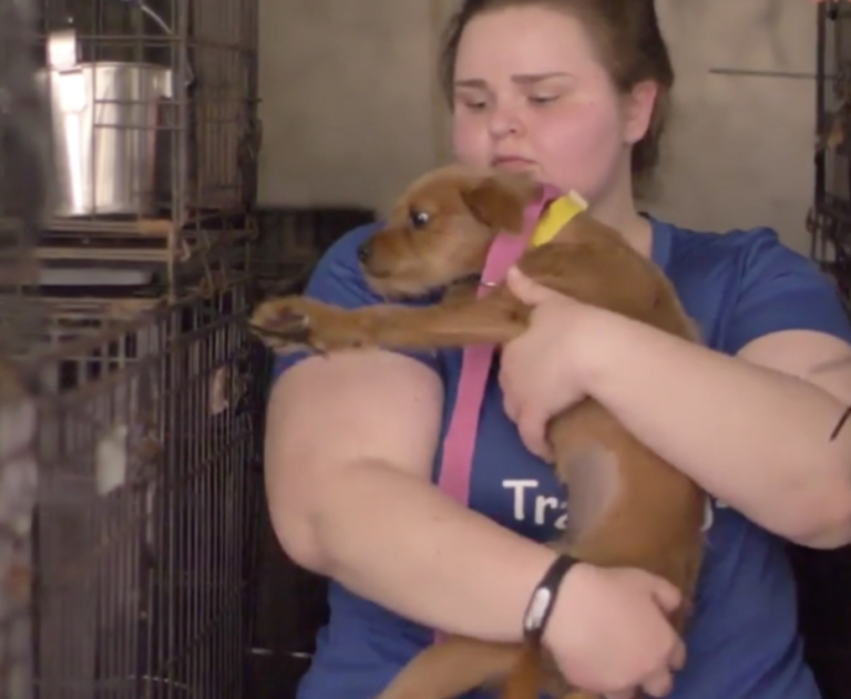 Dogs that will be put to Death are placed in a Truck. The New Owners are shocked when the doors wide open.