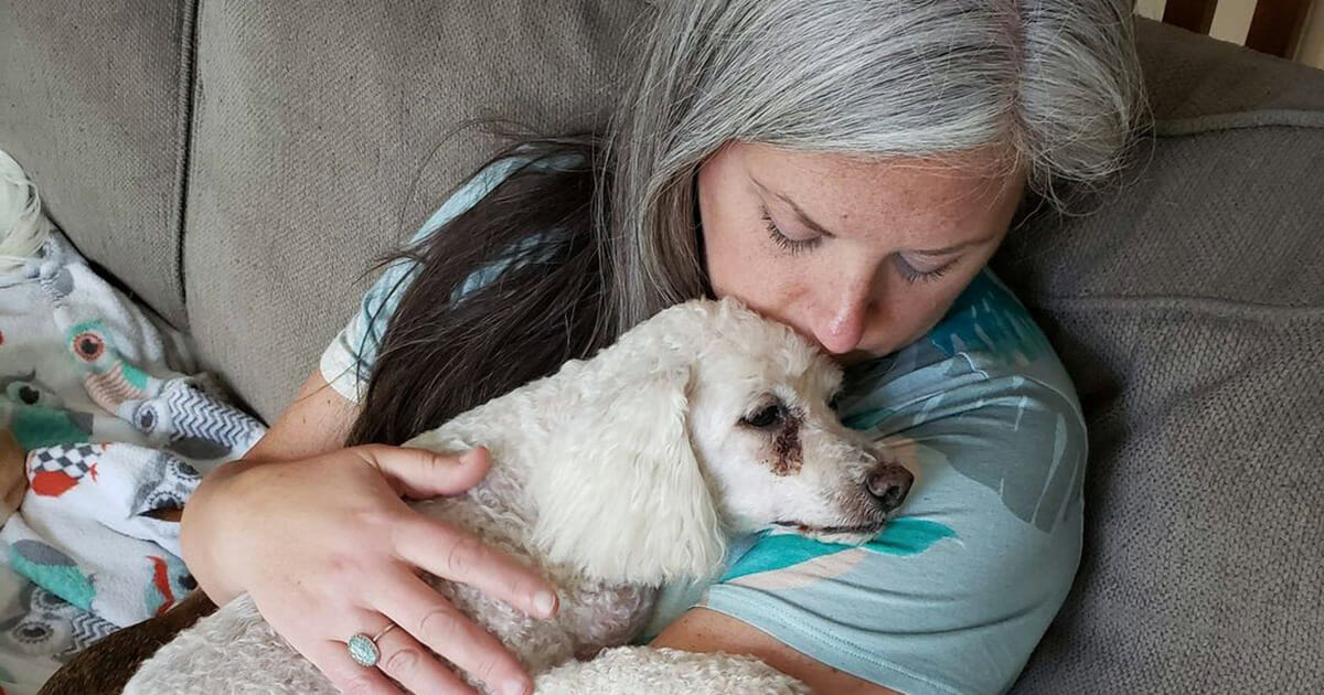 Woman turns her home into hospice for old shelter dogs so they don’t die alone