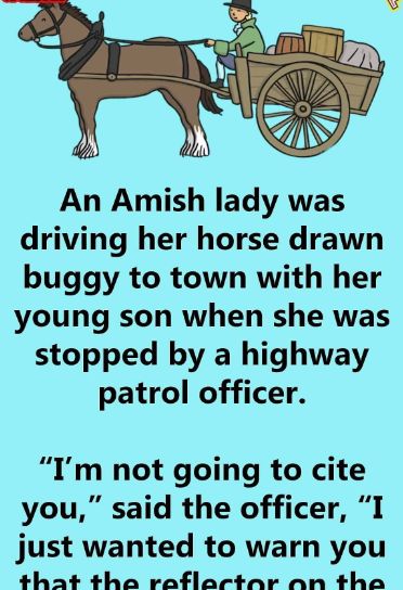 An Amish Lady Driving Her Horse-Drawn Buggy Is Pulled Over By The