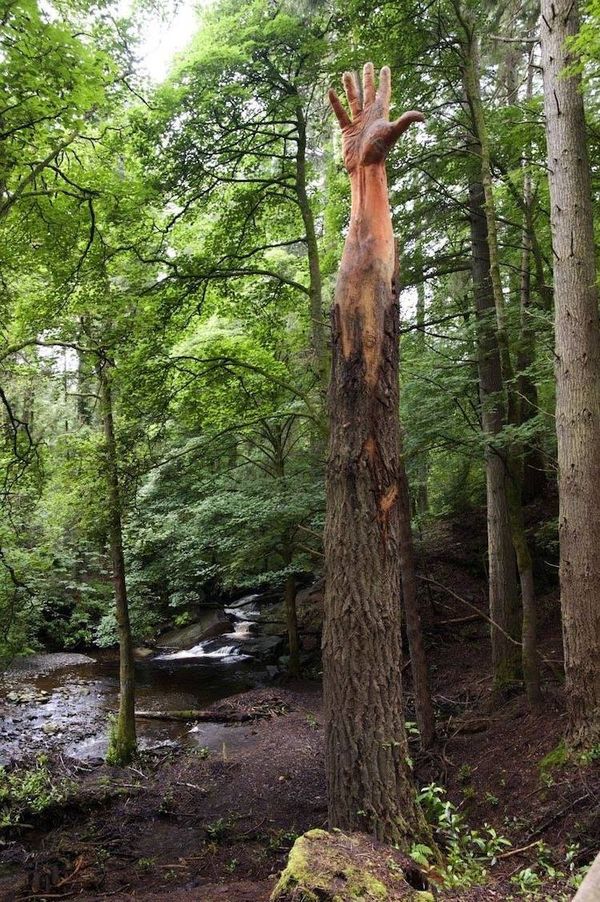 The Amazing Giant Hand of Vyrnwy: A Majestic Sculpture Transformed by Simon O’Rourke