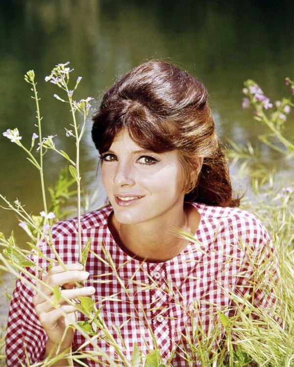 The Inspiring Life of Katharine Ross: A Hollywood Legend