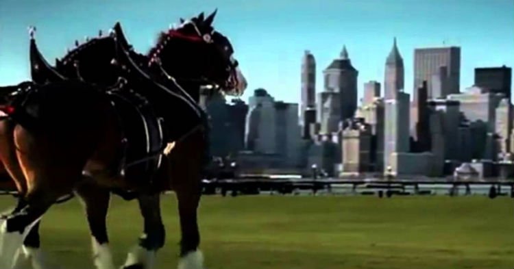 A Poignant Tribute to 9/11: The Budweiser Commercial That Made Us Remember