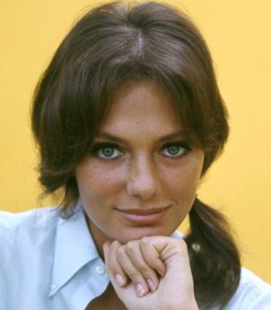 The Timeless Charm of Jacqueline Bisset: A Hollywood Legend