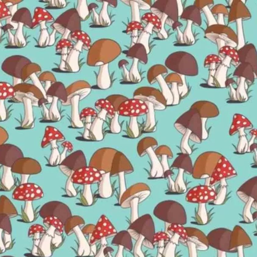 Can You Spot the Hidden Mouse Among the Mushrooms?