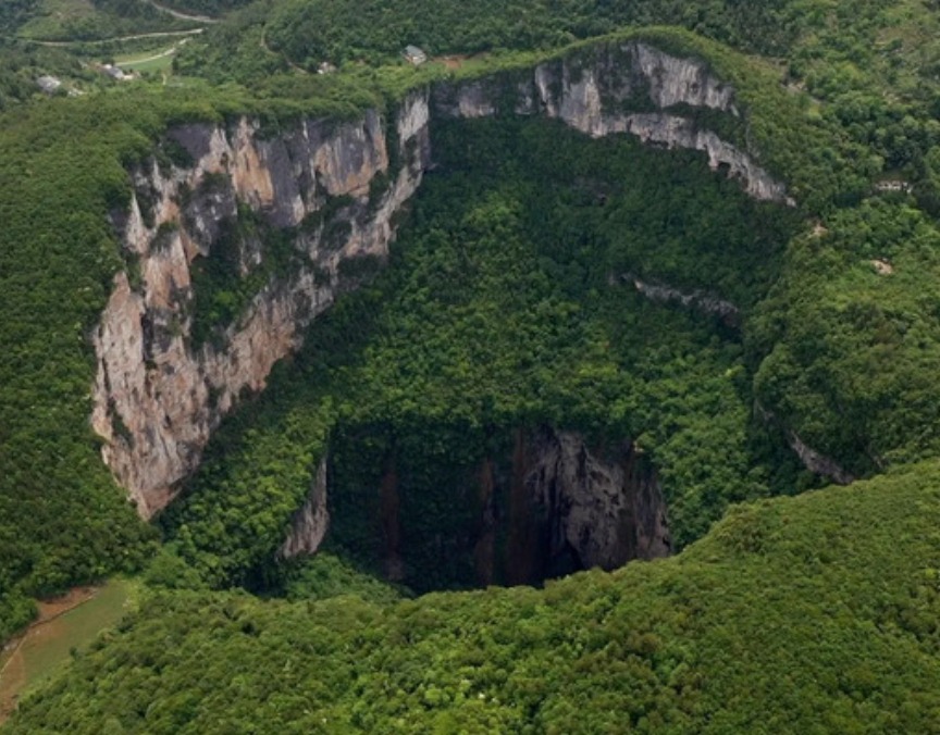 Ancient Forest Unearthed in China’s Leye-Fengshan Global Geopark