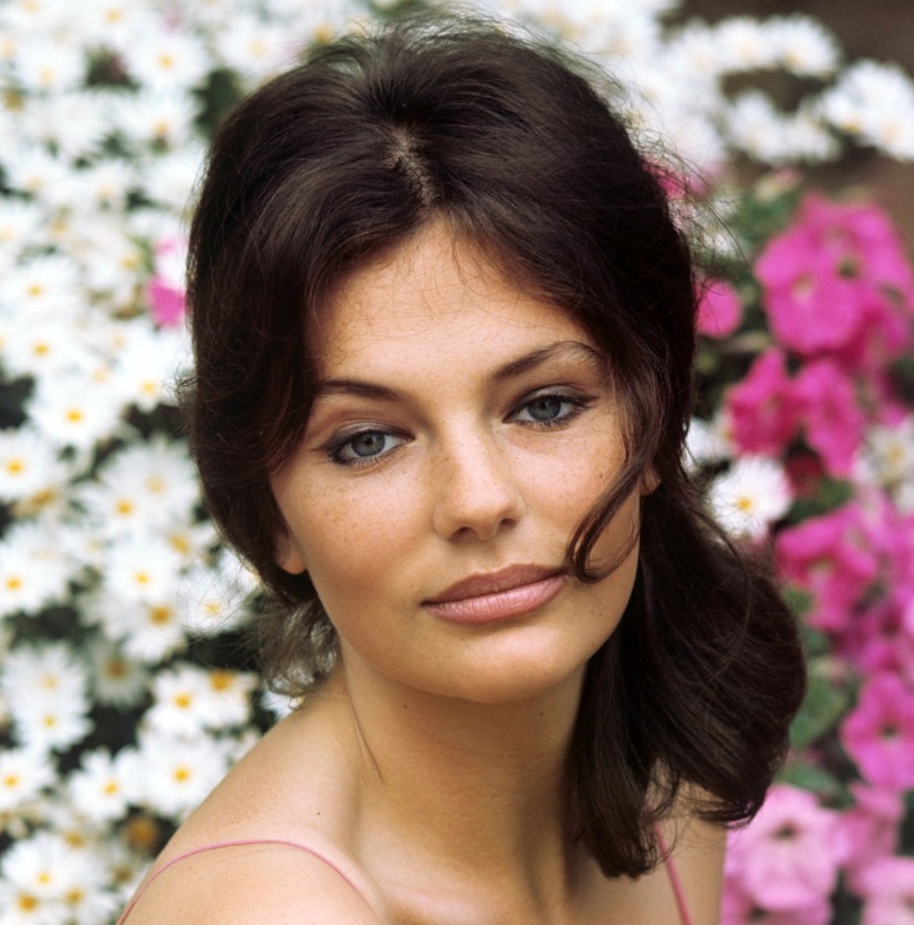 Jacqueline Bisset: The Timeless Icon of Hollywood