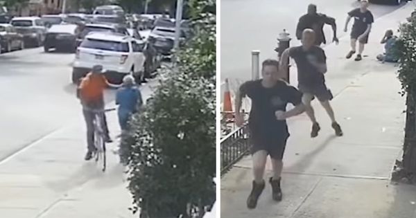 Ordinary Heroes: Firefighters Catch Bike Attacker