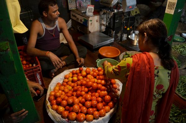 An artificial intelligence platform developed by ClimateAi is helping tomato growers in India adapt to extreme weather.