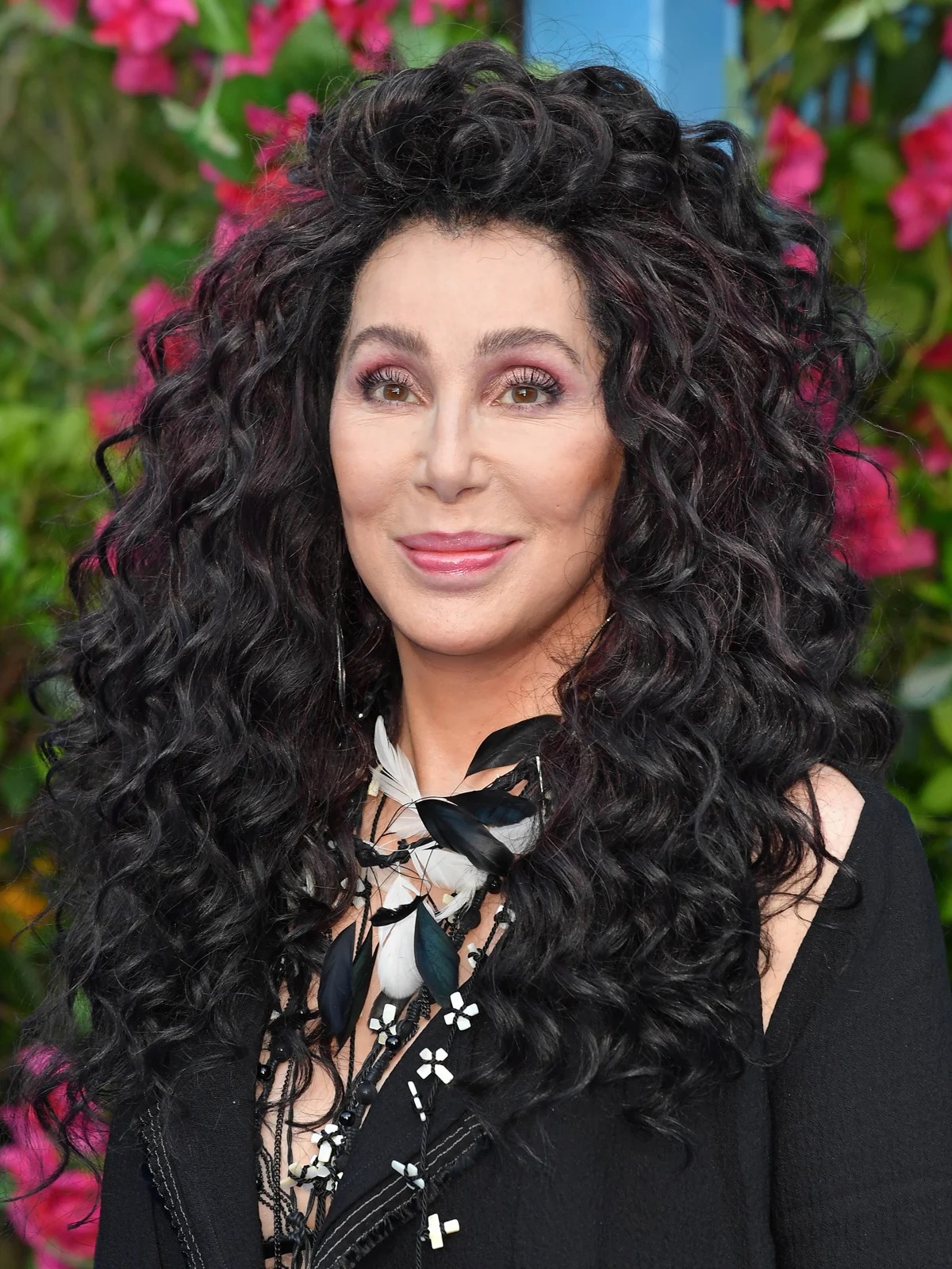 The Evolution of Cher: From Iconic Fashion Moments to Plastic Surgery Rumors