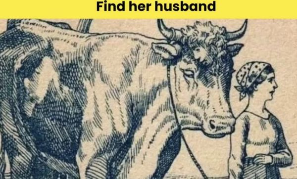 Challenge Accepted: Can You Find the Farmer’s Husband?