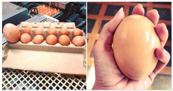 A Farmer’s Astonishing Discovery: Two Eggs in One!