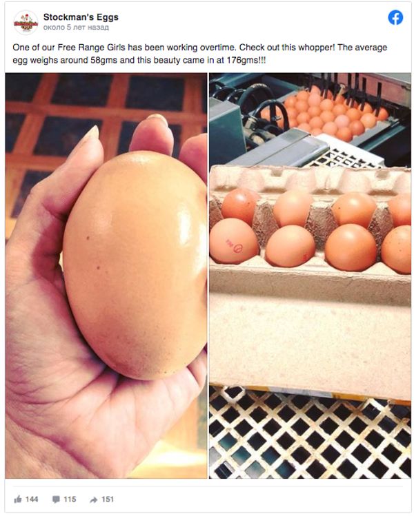 Side-by-Side Eggs