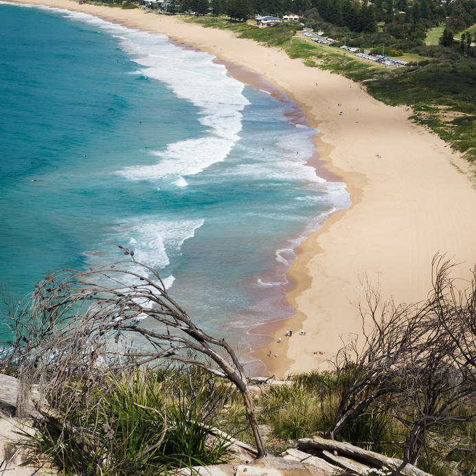 Stay Safe While Swimming in the Ocean This Summer!