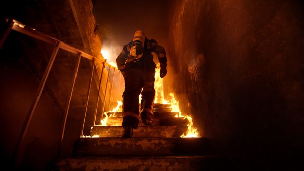 Tragic Christmas Tree Fire Takes the Lives of Two Young Sisters