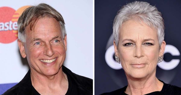 Mark Harmon and Jamie Lee Curtis: A Special Bond that Spans Decades