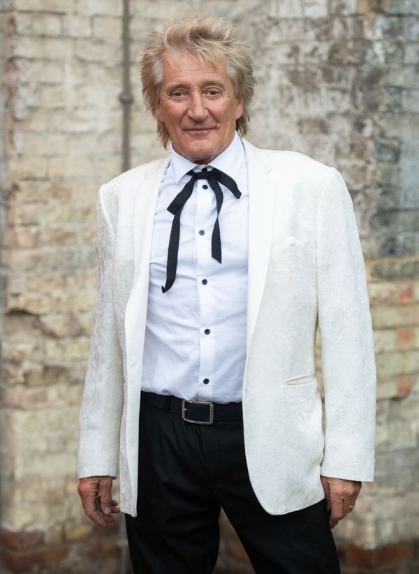 Rod Stewart's newborn grandsons