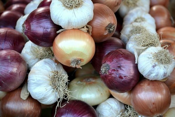 The Hidden Health Benefits of Onions