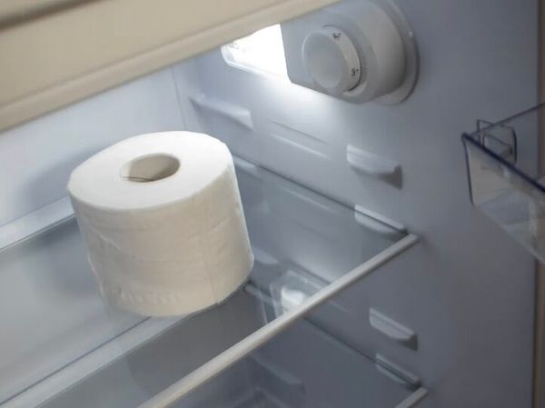 Life Hack: Freshen Up Your Fridge with Toilet Paper