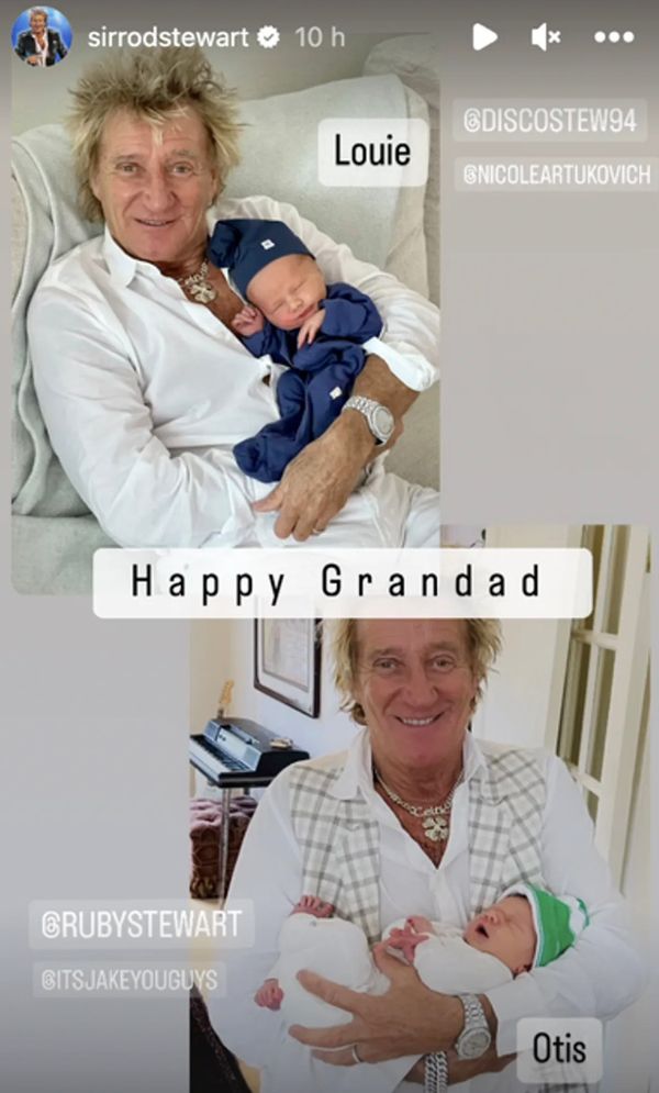 Rod Stewart's newborn grandsons