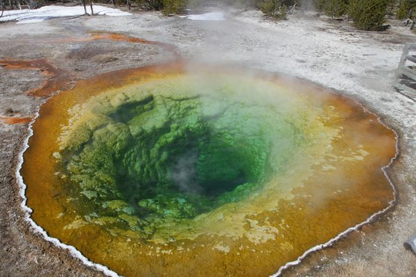 The Dangers of ‘Hot Potting’ at Yellowstone National Park