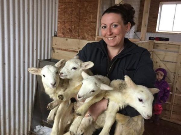 Dotty with her babies