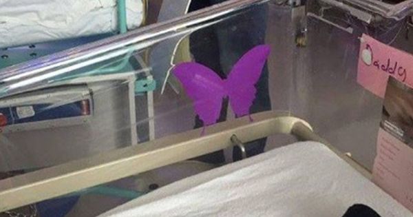 The Meaning of a Purple Butterfly Sticker Near a Newborn