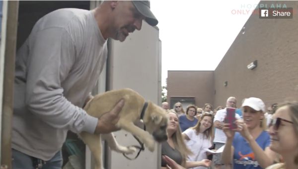 Tracy and Scott with rescued dogs