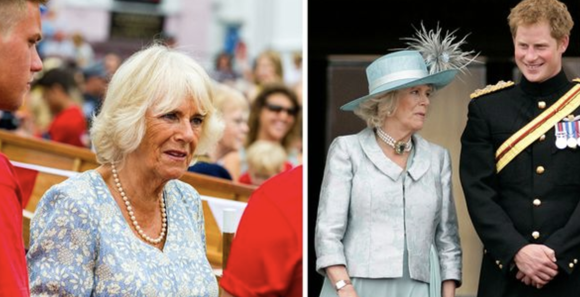 The Strained Relationship between Queen Camilla and Prince Harry