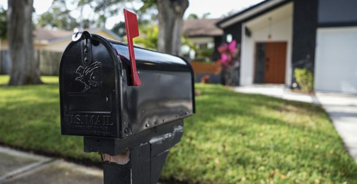 Easy Steps to Keep Wasps Away from your Mailbox: